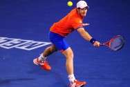 Andy-Murray-Australian-Open-2014