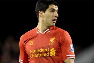 Luis Suarez Liverpool champions league