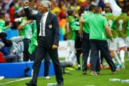 Algeria Vahid Halilhodzic