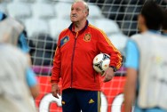 Vicente Del Bosque Spain Coach