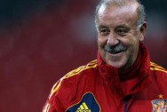 Vicente del Bosque Spain manager World Cup 2014