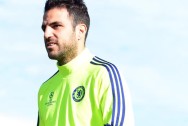 Chelsea Cesc Fabregas