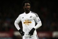 Swansea City Wilfried Bony