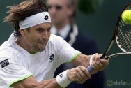 David-Ferrer-Wimbledon