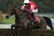 Cooper-Coneygree-in-Gold-Cup