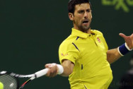 Qatar-Open-final-Novak-Djokovic-Tennis