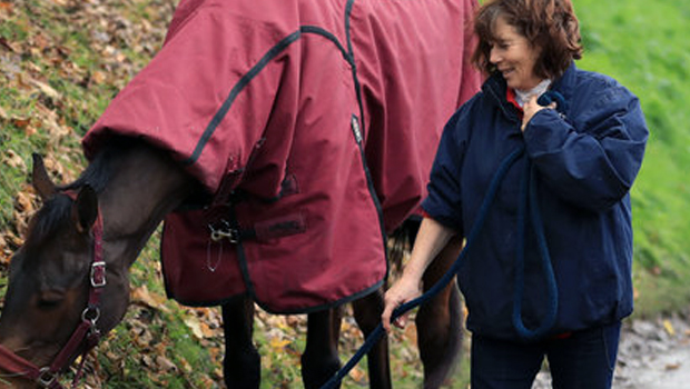 Người nài ngựa Sara Bradstock xác nhận tình trạng ngựa đua Coneygree