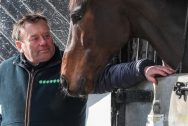Cá cược đua ngựa: Nicky Henderson đặt kỳ vọng vào giải Cheltenham