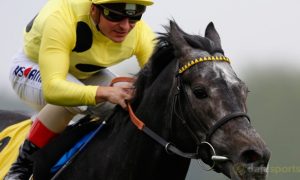 Cá cược đua ngựa: Defoe có thể không mạo hiểm ở giải Curragh