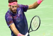 Juan Martin del Potro hy vọng sự trở lại của Novak Djokovic