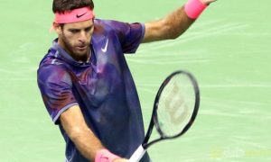 Juan Martin del Potro hy vọng sự trở lại của Novak Djokovic