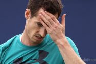 Tỉ lệ cược tennis giải Wimbledon: Đặt cược Andy Murray