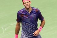 Cá độ quần vợt: Tỉ lệ cược Juan Martin Del Potro tại giải SW19