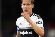 Đặt cược Fulham Ngoại hạng anh: Stefan Johansen muốn đá chính