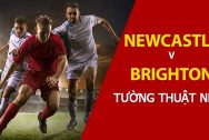 Nhận định trận đấu NHA thứ bảy: Newcastle vs Brighton & Hove Albion