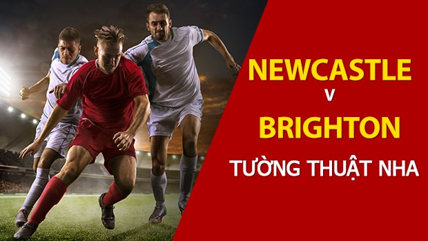 Nhận định trận đấu NHA thứ bảy: Newcastle vs Brighton & Hove Albion