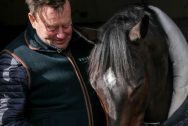 Cá cược đua ngựa: Nicky Henderson ca ngợi ngựa đua Altior