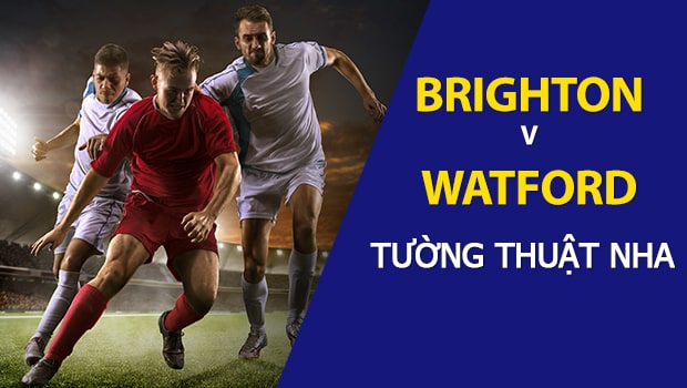 Brighton vs Watford: Dự đoán Ngoại Hạng Anh 2018/19