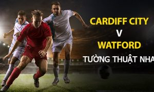 Dự đoán bóng đá NHA: Cardiff City vs Watford